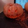 Halloween 2021 50 
