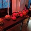 Halloween 2021 85 